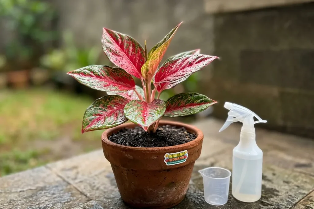 Cara Titip Tanaman ke Tetangga yang Gak Mudik: Checklist Apa Saja yang Harus Disiapkan?