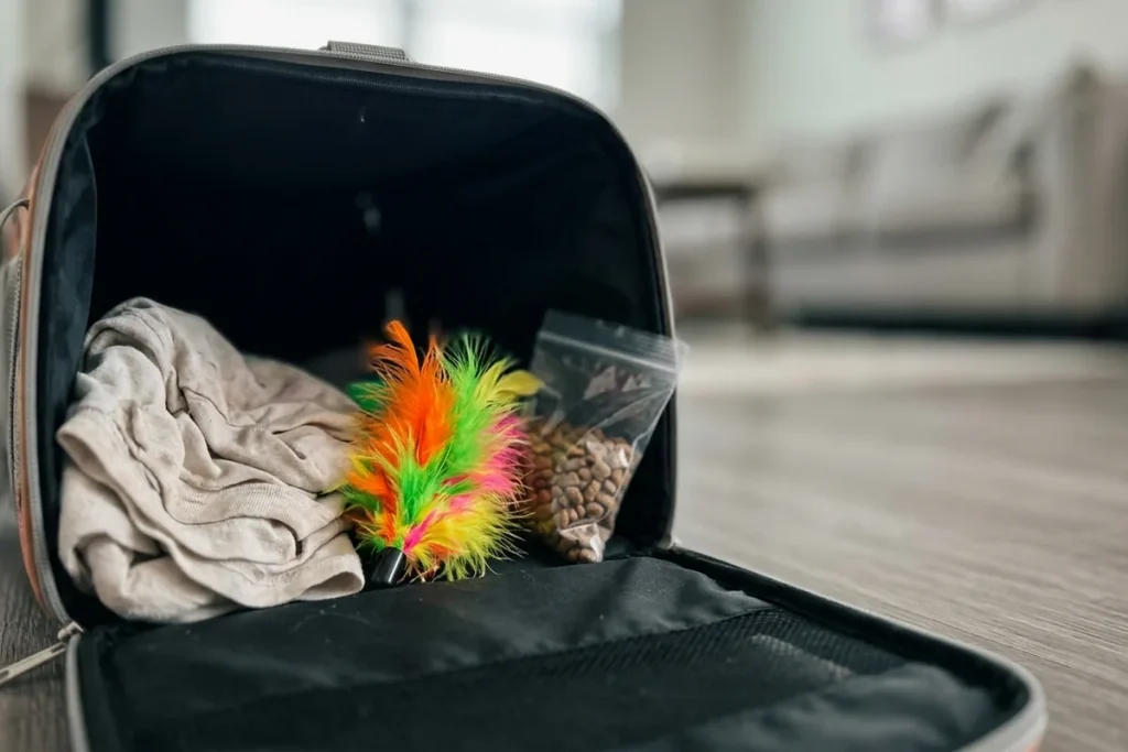 Tips Titip Kucing di Pet Hotel: Apa Saja yang Harus Dibawa agar Anabul Tidak Stres?